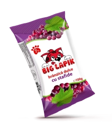 BIG LAPIK Сырок с изюмом 100 г