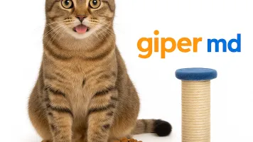 Всё для кошек, купить онлайн | giper.md
