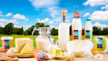 SEO-статья для интернет-магазина, купить онлайн | giper.md