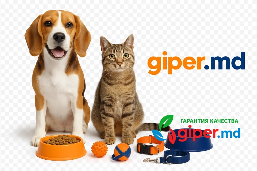 Аксессуары для животных, купить онлайн | giper.md